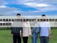 去西藏自由行好还是跟团好？去西藏自驾好还是跟团好
