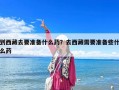 到西藏去要准备什么药？去西藏需要准备些什么药