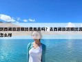 到西藏旅游跟团费用高吗？去西藏旅游跟团游怎么样
