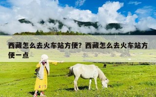 西藏怎么去火车站方便？西藏怎么去火车站方便一点