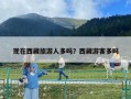 现在西藏旅游人多吗？西藏游客多吗