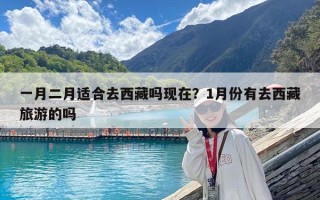 一月二月适合去西藏吗现在？1月份有去西藏旅游的吗