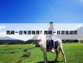 西藏一日导游推荐？西藏一日游旅游团