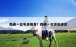 西藏一日导游推荐？西藏一日游旅游团