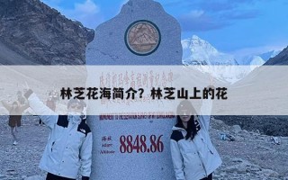 林芝花海简介？林芝山上的花
