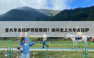 坐火车去拉萨然后报团？请问坐上火车去拉萨