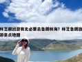 林芝跟团游有无必要去鲁朗林海？林芝鲁朗旅游景点地图