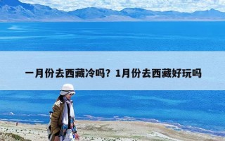 一月份去西藏冷吗？1月份去西藏好玩吗