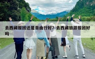 去西藏报团还是自由行好？去西藏旅游报团好吗