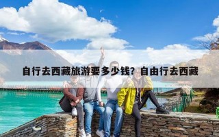 自行去西藏旅游要多少钱？自由行去西藏
