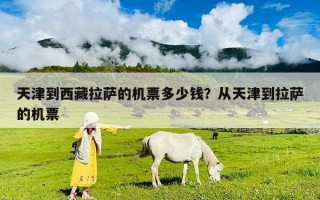天津到西藏拉萨的机票多少钱？从天津到拉萨的机票