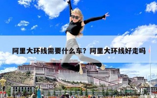 阿里大环线需要什么车？阿里大环线好走吗