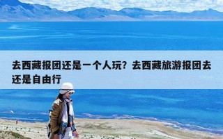 去西藏报团还是一个人玩？去西藏旅游报团去还是自由行