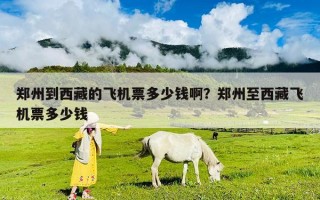 郑州到西藏的飞机票多少钱??？郑州至西藏飞机票多少钱