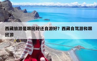 西藏旅游是跟团好还自游好？西藏自驾游和跟团游
