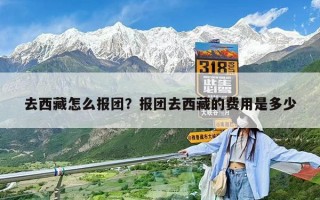 去西藏怎么报团？报团去西藏的费用是多少