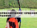 拉萨最适合拍照寺庙有哪些？拉萨最适合拍照寺庙有哪些呢