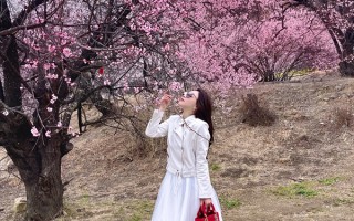 西藏林芝适合老人去吗？老人去西藏林芝玩合适吗？