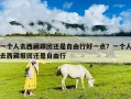 一个人去西藏跟团还是自由行好一点？一个人去西藏报团还是自由行