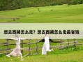 想去西藏怎么走？想去西藏怎么走最省钱