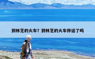 到林芝的火车？到林芝的火车停运了吗