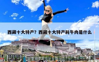 西藏十大特产？西藏十大特产耗牛肉是什么