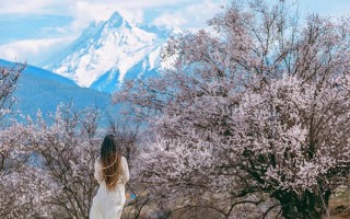 拉萨旅游3月份合适去吗？春天三月份到西藏去玩适合不？