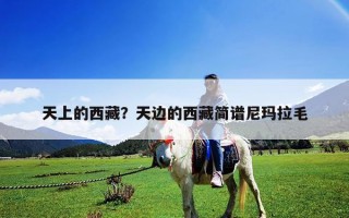 天上的西藏？天边的西藏简谱尼玛拉毛