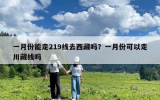 一月份能走219线去西藏吗？一月份可以走川藏线吗