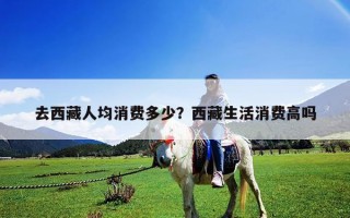 去西藏人均消费多少？西藏生活消费高吗
