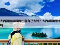 去西藏旅游跟团还是自己去好？去西藏跟团好吗