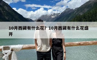 10月西藏有什么花？10月西藏有什么花盛开