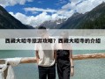 西藏大昭寺旅游攻略？西藏大昭寺的介绍