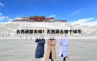 去西藏都去哪？去西藏去哪个城市