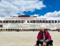 从成都到西藏旅游？从成都到西藏旅游花多少钱