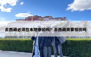 去西藏必须在本地参团吗？去西藏需要报团吗