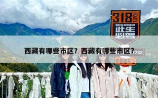 西藏有哪些市区？西藏有哪些市区?