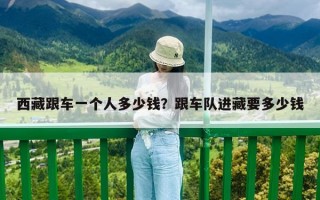 西藏跟车一个人多少钱？跟车队进藏要多少钱