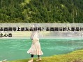 去西藏带上朋友去好吗？去西藏玩的人都是什么心态