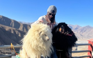 西藏5天游大概需要多少钱？拉萨五日游费用要多少？