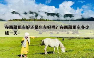 在西藏租车好还是包车好呢？在西藏租车多少钱一天