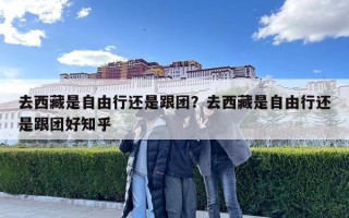 去西藏是自由行还是跟团？去西藏是自由行还是跟团好知乎