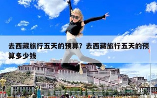 去西藏旅行五天的预算？去西藏旅行五天的预算多少钱