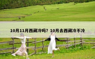 10月11月西藏冷吗？10月去西藏冷不冷