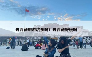 去西藏旅游坑多吗？去西藏好玩吗