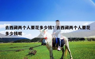 去西藏两个人要花多少钱？去西藏两个人要花多少钱呢