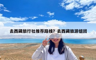 去西藏旅行社推荐路线？去西藏旅游组团