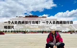 一个人去西藏旅行攻略？一个人去西藏旅行攻略图片
