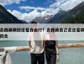 去西藏跟团还是自由行？去西藏自己去还是跟团去