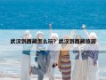 武汉到西藏怎么玩？武汉到西藏旅游